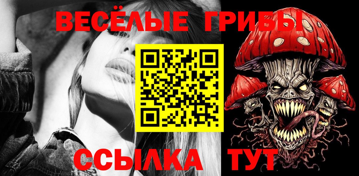 Псилоцибиновые грибы Cubensis  Вход с VPN  Кузнецк  Псилоцибиновые грибы мухоморы 